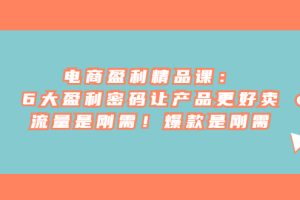 (6954期)电商 盈利精品课:6大盈利 密码让产品更好卖,流量是刚需!爆款是刚需