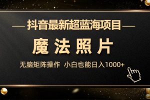 (6951期)抖音最新超蓝海项目,魔法照片,无脑矩阵操作,小白也能日入1000+