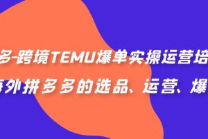 (6934期)拼多多-跨境TEMU爆单实操运营培训班,海外拼多多的选品、运营、爆单