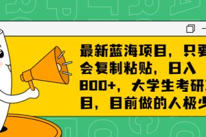 (6780期)最新蓝海项目,只要会复制粘贴,日入800+,大学生考研项目,目前做的人极少