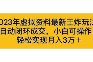 (6773期)2023年虚拟资料最新王炸玩法,自动闭环成交,小白可操作,轻松实现月入3…
