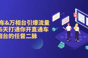 (6757期)直通车+万相台引爆流量班,6天打通你开直通车·万相台的任督 二脉
