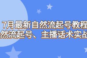 (6748期)7月最新自然流起号教程,自然流起号、主播话术实战课
