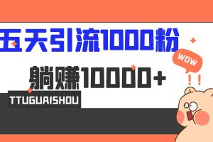 (6745期)5天引流1000+,赚了1w+