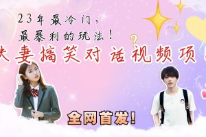 (6734期)最冷门,最暴利的全新玩法,夫妻搞笑视频项目,虚拟资源一月变现10w+