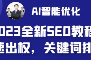 (6554期)2023最新网站AI智能优化SEO教程,简单快速出权重,AI自动写文章+AI绘画配图