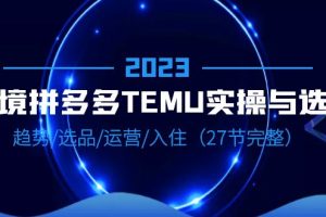 (6550期)2023跨境·拼多多·TEMU实操与选品,趋势·选品·运营·入住(27节完整)