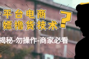 (4515期)外面收费2980的全平台电商白嫖撸货技术(仅揭秘-勿操作-商家必看)