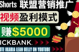 (3969期)通过Youtube Shorts推广联盟营销商品,月赚5000美元 方法和技巧