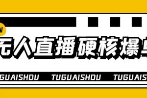 (3980期)大飞无人直播硬核爆单技术,轻松玩转无人直播,暴利躺赚