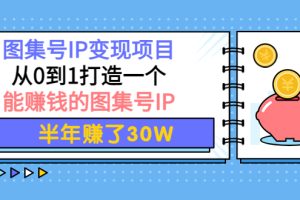 (3972期)图集号IP变现项目:从0到1打造一个能赚钱的图集号IP 半年赚了30W