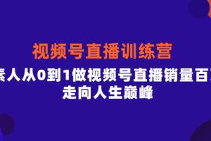 (3927期)行动派·视频号直播训练营,素人从0到1做视频号直播销量百万,走向人生巅峰