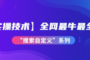(3909期)【实操技术】全网最牛最全的“搜索自定义”系列!价值698元