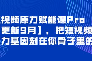 (3888期)短视频原力赋能课Pro【更新9月】,把短视频能力基因刻在你骨子里的课