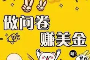 (3789期)外边收费四五千的国外问卷调查项目,单人一天操作100美刀,真正的搬砖项目