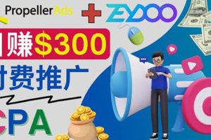 (3782期)通过CPA推广平台Zeydoo日赚300美元:CPA Offer 付费推广方法!
