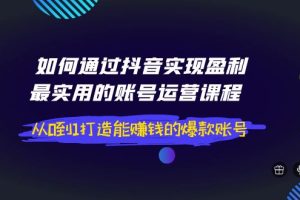 (3777期)如何通过抖音实现盈利,最实用的账号运营课程 从0到1打造能赚钱的爆款账号