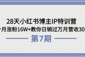 (3745期)28天小红书博主IP特训营《第6+7期》4个月涨粉16W+教你日销过万月营收30万
