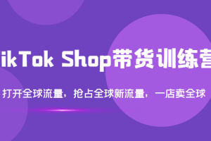(3342期)TikTok Shop带货训练营,打开全球流量,抢占全球新流量 一店卖全球(第14期)