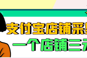 （2974期）【信息差项目】支付宝店铺采集项目，只需拍三张照片，轻松日赚300-500