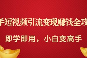 (2964期)快手短视频引流变现赚钱全攻略:即学即用,小白变高手(价值398元)