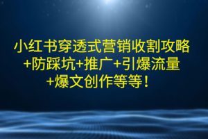 (2907期)小红书穿透式营销收割攻略+防踩坑+推广+引爆流量+爆文创作等等!