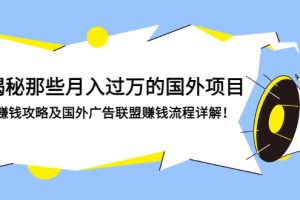 (2891期)揭秘那些月入过万的国外项目,赚钱攻略及国外广告联盟赚钱流程详解!