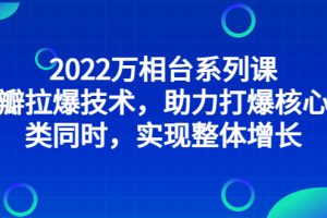 (2832期)2022万相台系列课:最新拉爆技术,助力打爆核心品类同时,实现整体增长