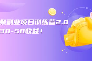 （2549期）微头条副业项目训练营2.0：单号30-50收益！