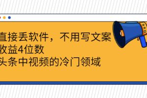 （2543期）直接丢软件，不用写文案，收益4位数头条中视频的冷门领域