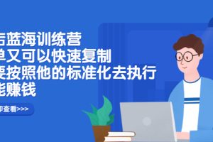 (2428期)抖店蓝海训练营:简单又可以快速复制,只要按照他的标准化去执行就能赚钱