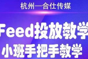(1749期)合仕传媒Feed投放教学,手把手教学,开车烧钱必须自己会!