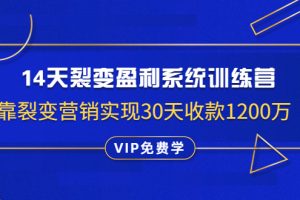 (1317期)14天裂变盈利系统训练营:靠裂变营销实现30天收款1200万(无水印)