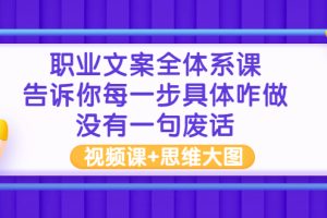 (2898期)职业文案全体系课:告诉你每一步具体咋做 没有一句废话(视频课+思维大图)
