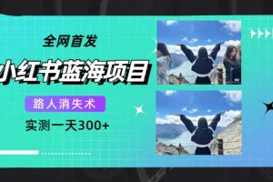 (7537期)全网首发,小红书蓝海项目,路人消失术,实测一天300+(教程+工具)