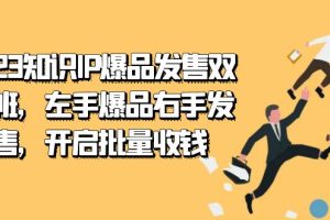 (7426期)2023知识IP-爆品发售双 阶班,左手爆品右手发售,开启批量收钱