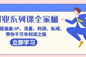 (7407期)创业系列课-全家桶,9大课程涵盖:IP 流量 利润 私域 带你千万年利润之路