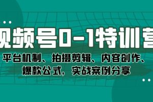 (7373期)视频号0-1特训营:平台机制、拍摄剪辑、内容创作、爆款公式,实战案例分享