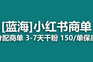 (7349期)2023蓝海项目,小红书商单,快速千粉,长期稳定,最强蓝海没有之一