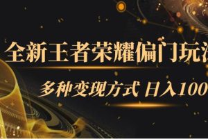 (7338期)全新王者荣耀偏门玩法,多种变现方式 日入1000+小白闭眼入(附1000G教材)