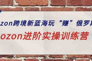 （9800期）ozon跨境新蓝海玩“赚”俄罗斯，ozon进阶实操训练营