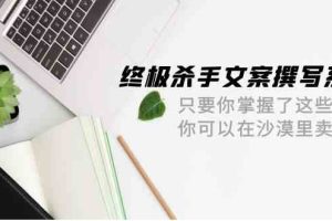 (9928期)终极 杀手文案-撰写系统 只要你掌握了这些秘诀 你可以在沙漠里卖沙子-42节