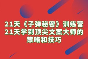 (10209期)21天《子弹秘密》训练营,21天学到顶尖文案大师的策略和技巧