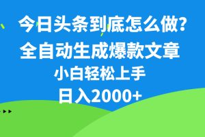 (10541期)今日头条最新最强连怼操作,10分钟50条,真正解放双手,月入1w+