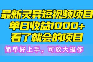 (10542期)最新灵异短视频项目,单日收益1000+看了就会的项目,简单好上手可放大操作