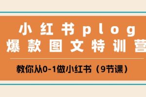 (10553期)小红书 plog爆款图文特训营,教你从0-1做小红书(9节课)