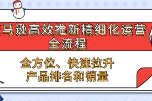 (10554期)亚马逊-高效推新精细化 运营全流程,全方位、快速 拉升产品排名和销量