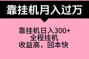 (10572期)靠挂机,月入过万,特别适合宝爸宝妈学生党,工作室特别推荐