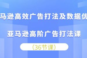 (10649期)亚马逊高效广告打法及数据优化,亚马逊高阶广告打法课