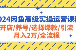 (10711期)2024闲鱼高级实操运营课程:开店/养号/选择爆款/引流/月入2万/全流程